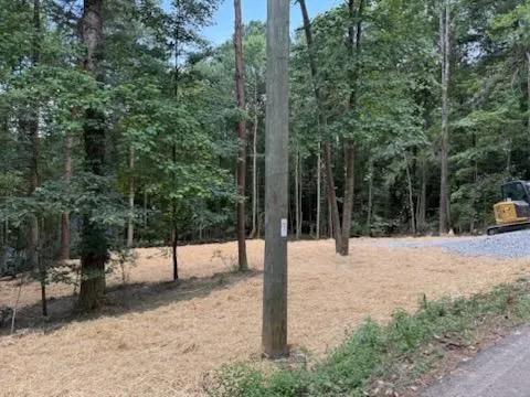 $55,000 | Lot 195 Shenendoa Drive, Ellijay, GA 30540