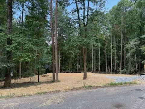 $55,000 | Lot 195 Shenendoa Drive, Ellijay, GA 30540
