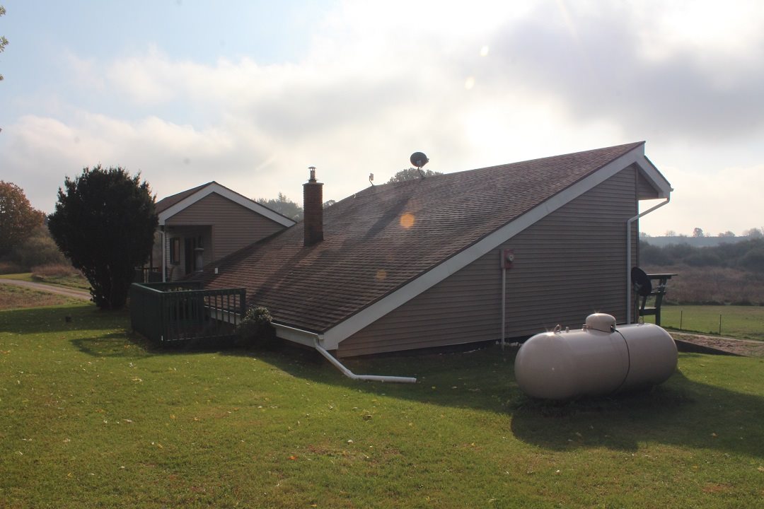 1869054-6.JPG