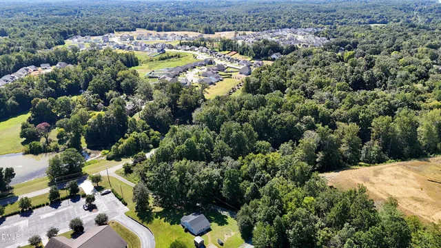 a view of a garden with plants