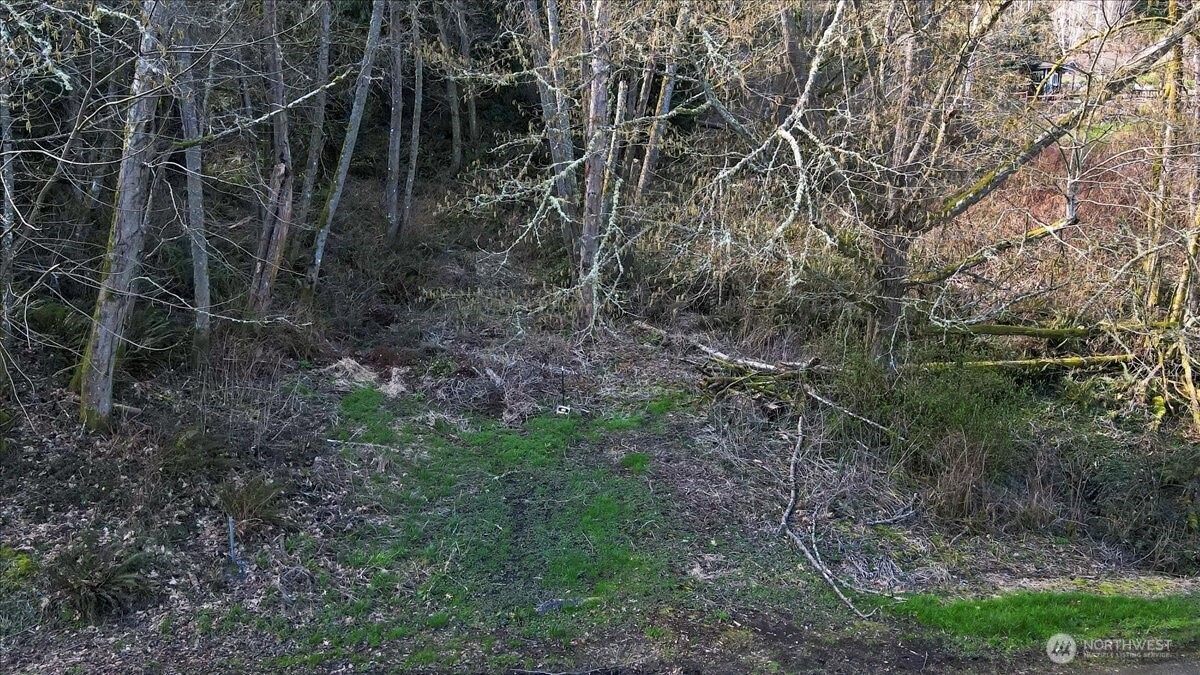 14425 Gln Acrs Road Vashon, WA 98070 - Photo 6 of 10 a view of a yard with a tree