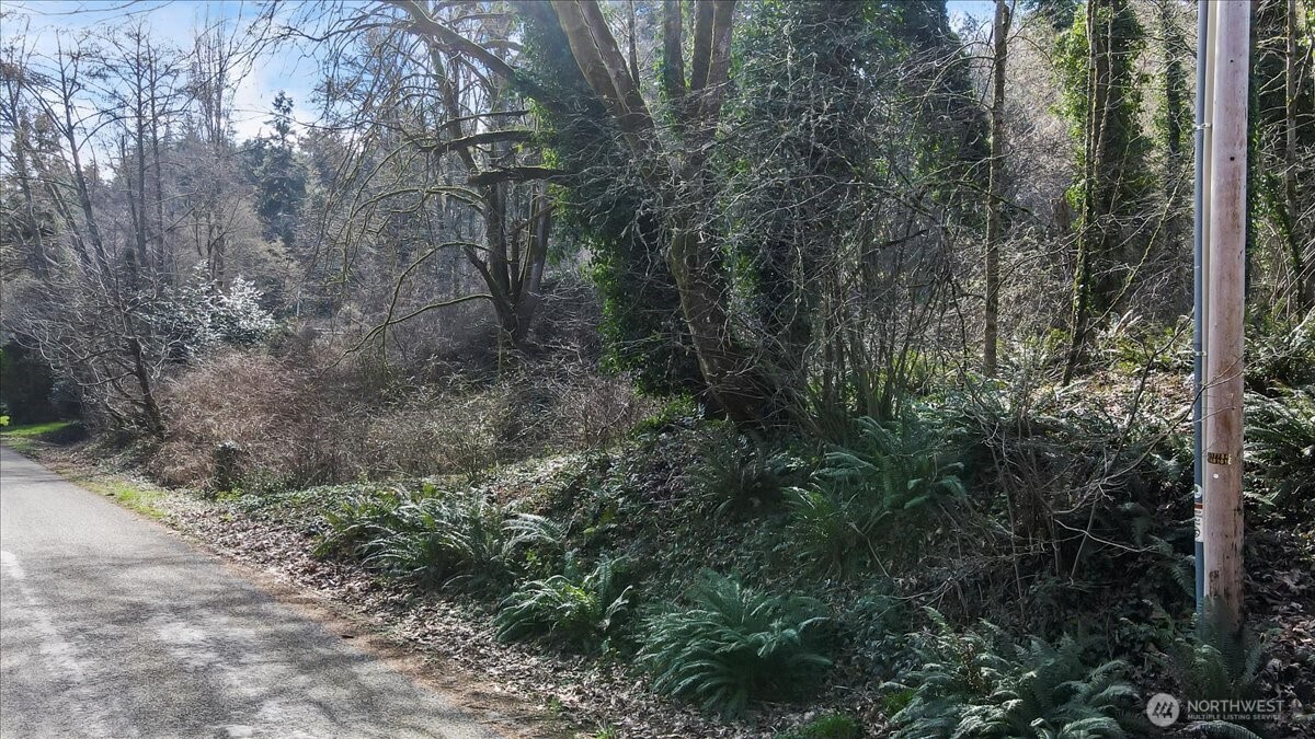 14425 Gln Acrs Road Vashon, WA 98070 - Photo 7 of 10 a view of a forest with lots of trees