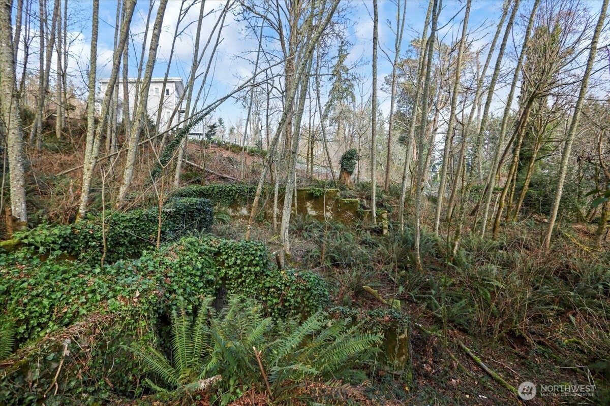 14425 Gln Acrs Road Vashon, WA 98070 - Photo 9 of 10 a view of forest