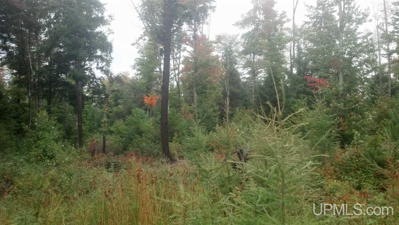 E7139 Carlson Road Munising, MI 49862 - Photo 9 of 17