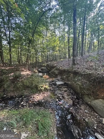 a view of a forest with trees
