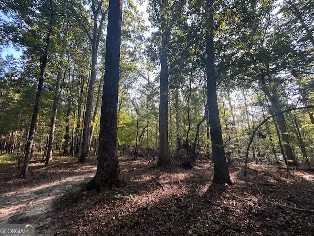 1251 Adams Road Union Point, GA 30669 - Photo 2 of 6 a view of forest