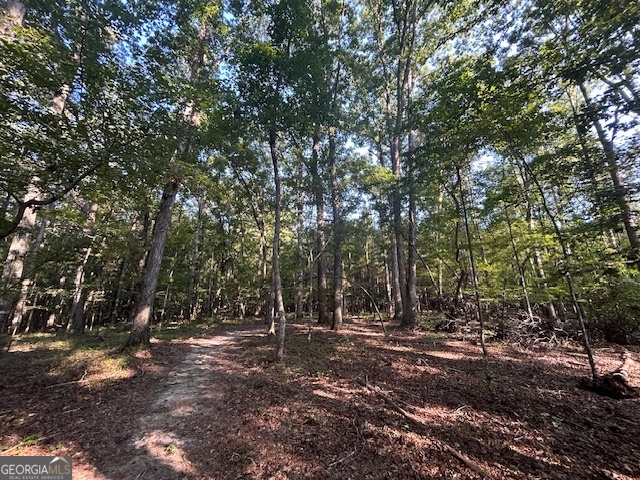 1251 Adams Road Union Point, GA 30669 - Photo 3 of 6 a view of outdoor space with trees