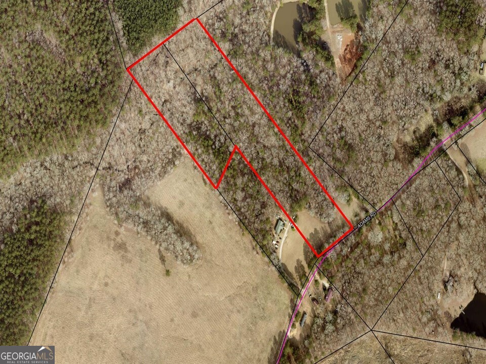 1251 Adams Road Union Point, GA 30669 - Photo 4 of 6 a with a park with trees in the background