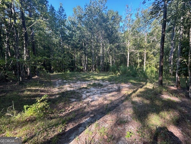 1251 Adams Road Union Point, GA 30669 - Photo 5 of 6 a view of outdoor space with trees