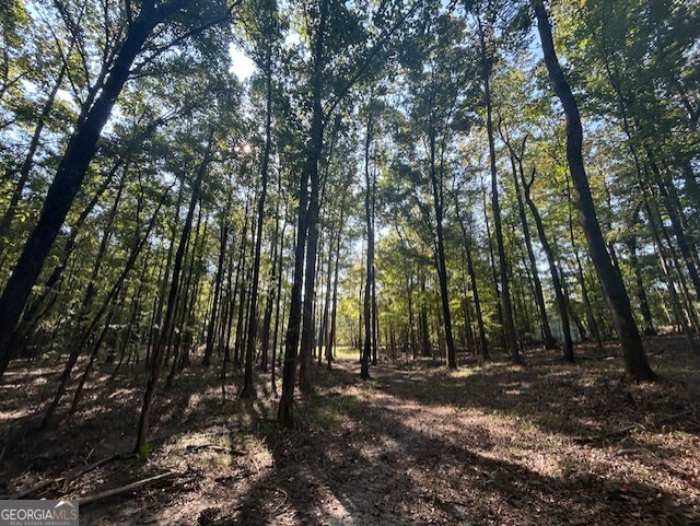 1251 Adams Road Union Point, GA 30669 - Photo 6 of 6 a view of outdoor space and yard