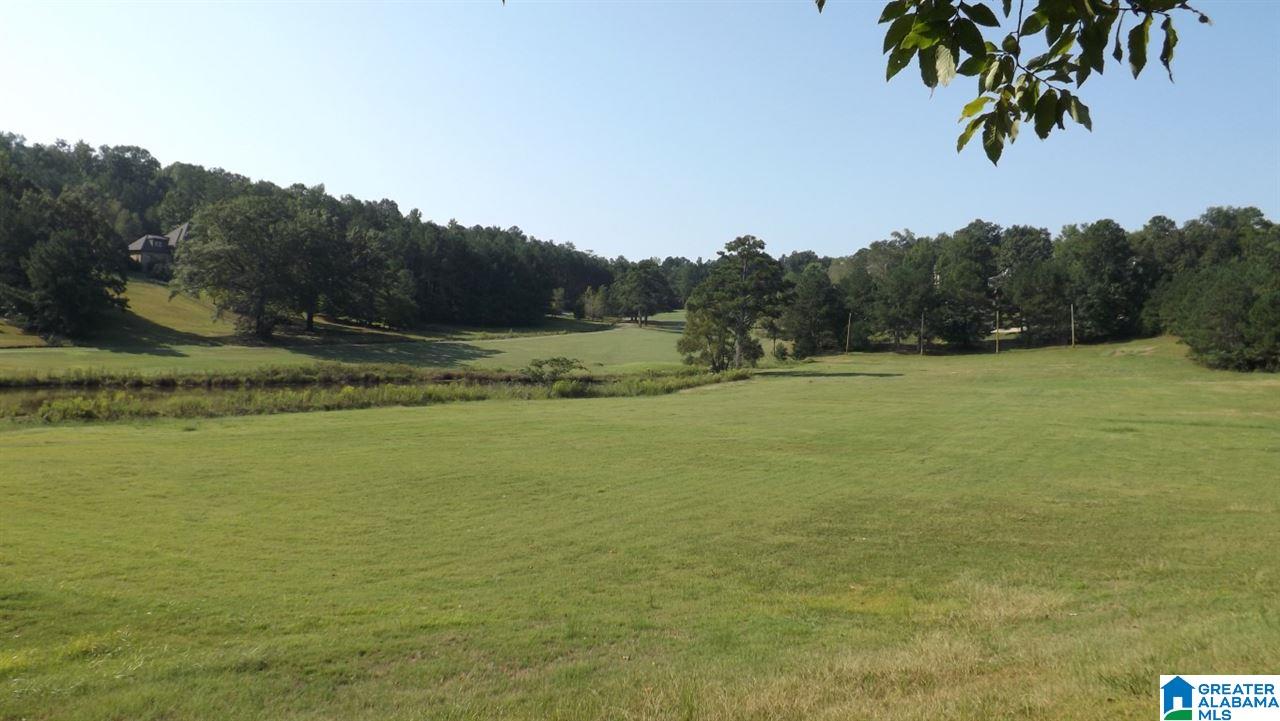 0 Quail Ridge Road, Unit 1 Oneonta, AL 35121 - Photo 2 of 18