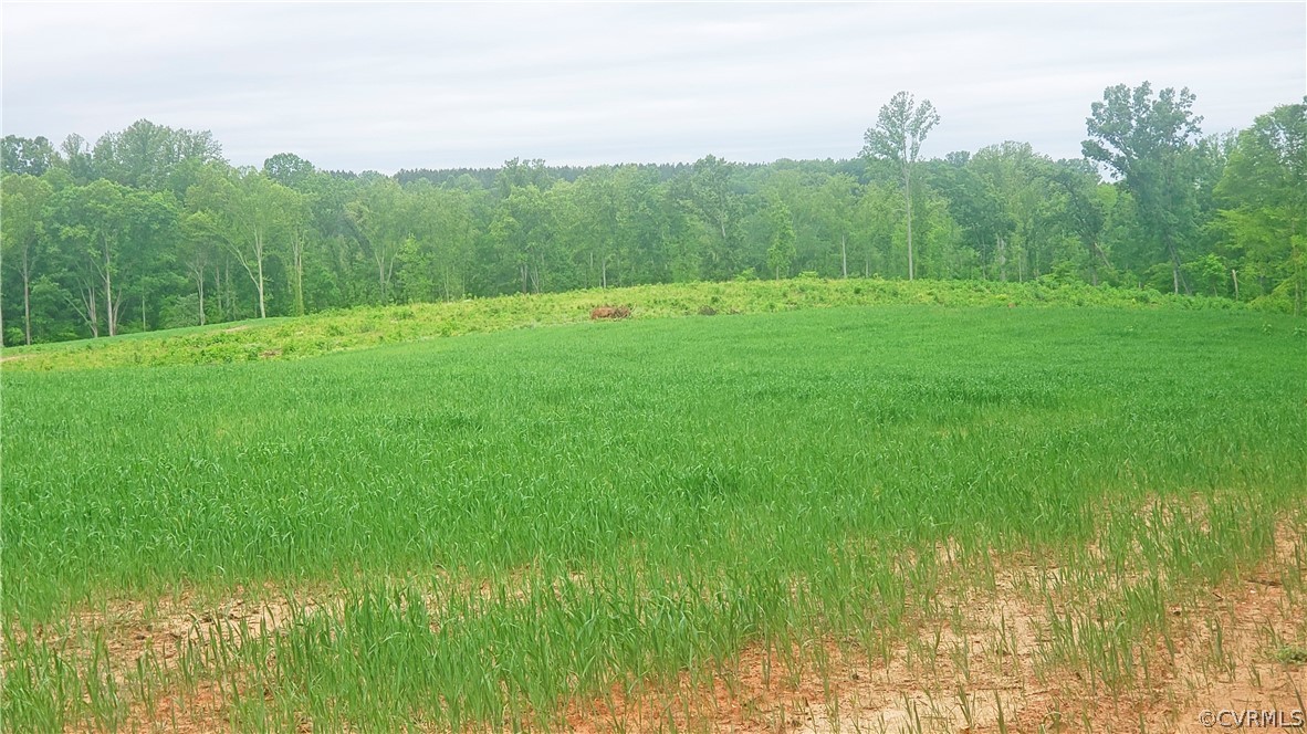 0 Back Hampden Sydney Road Farmville, VA 23901 - Photo 1 of 2 Gallery Image 1