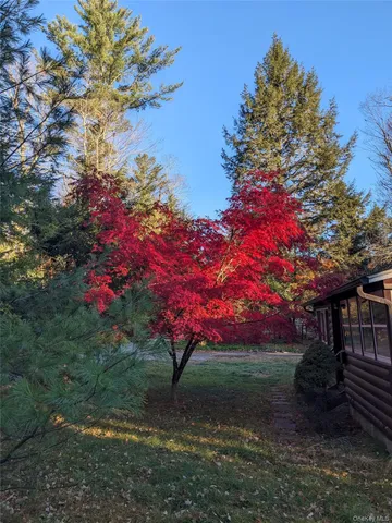 a view of a lake in middle of forest