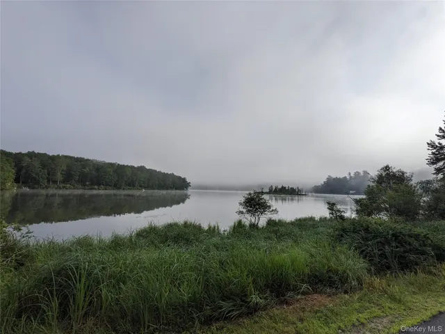 a view of a yard with plants and trees