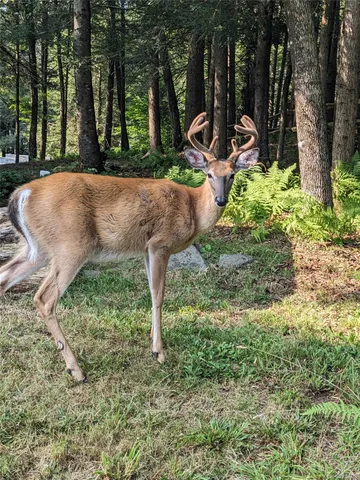 $160,000 | 24 Mohican Trail, Smallwood, NY 12778