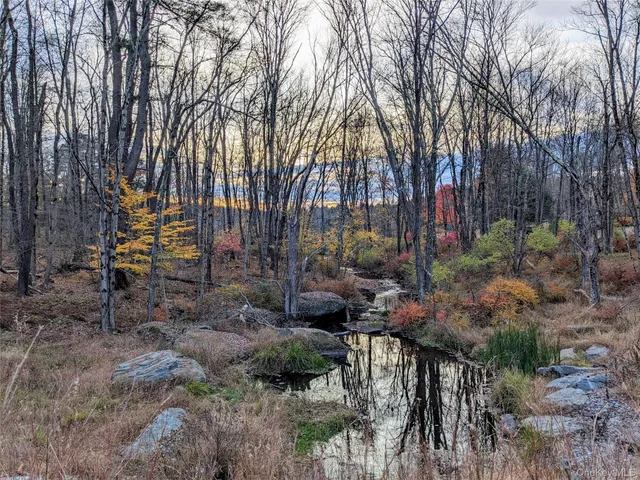 a view of outdoor space and fountain