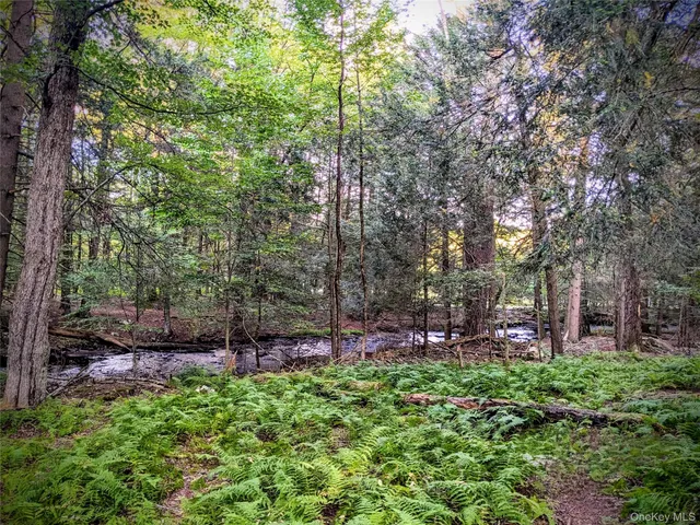 $160,000 | 24 Mohican Trail, Smallwood, NY 12778