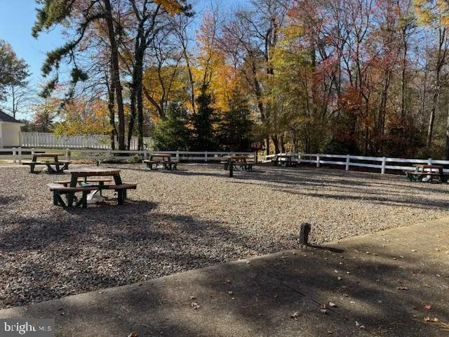 a view of a yard with trees in the background