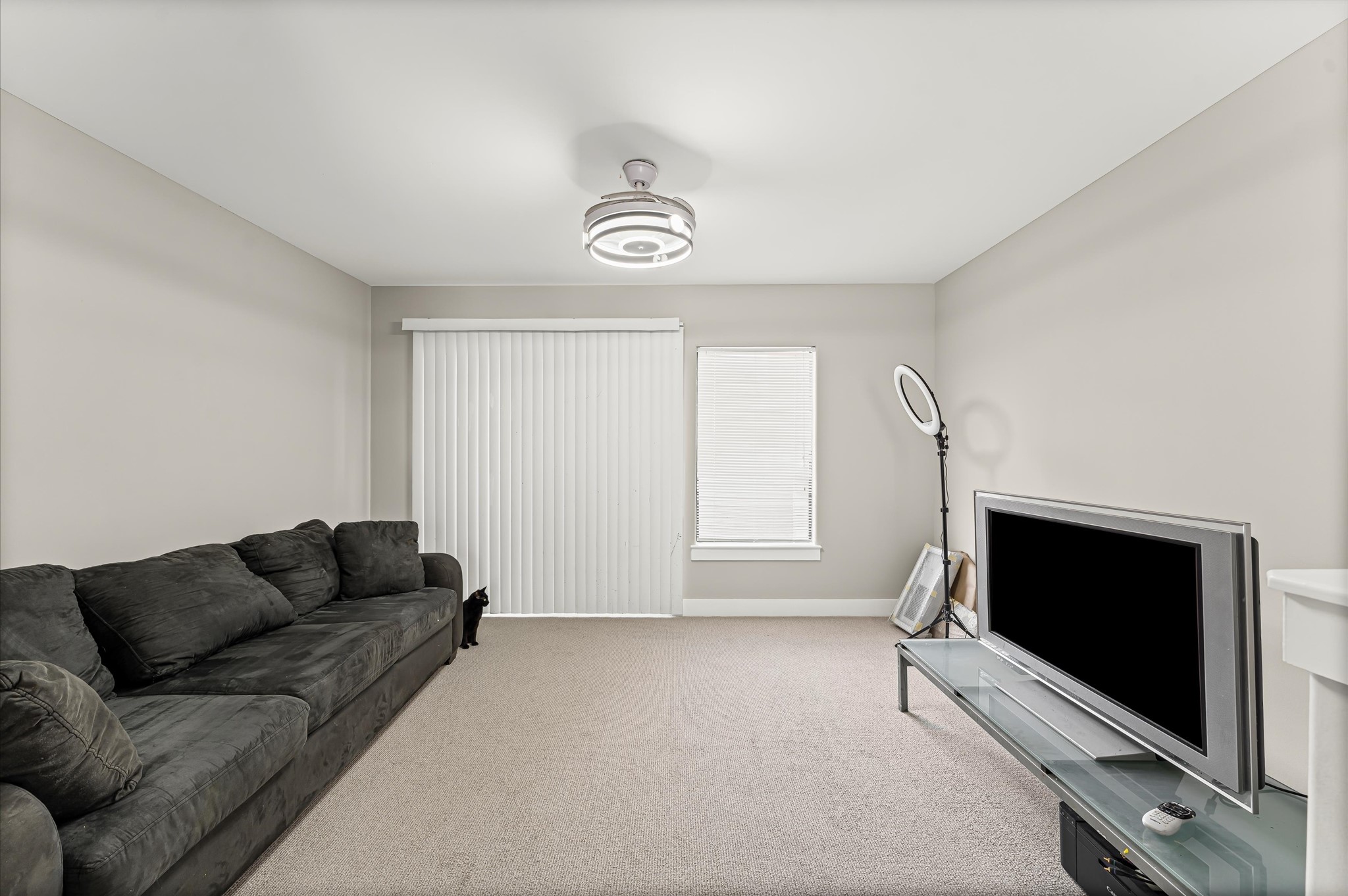 730 Ruthven Street Houston, TX 77019 - Photo 20 of 36 a living room with furniture and a flat screen tv