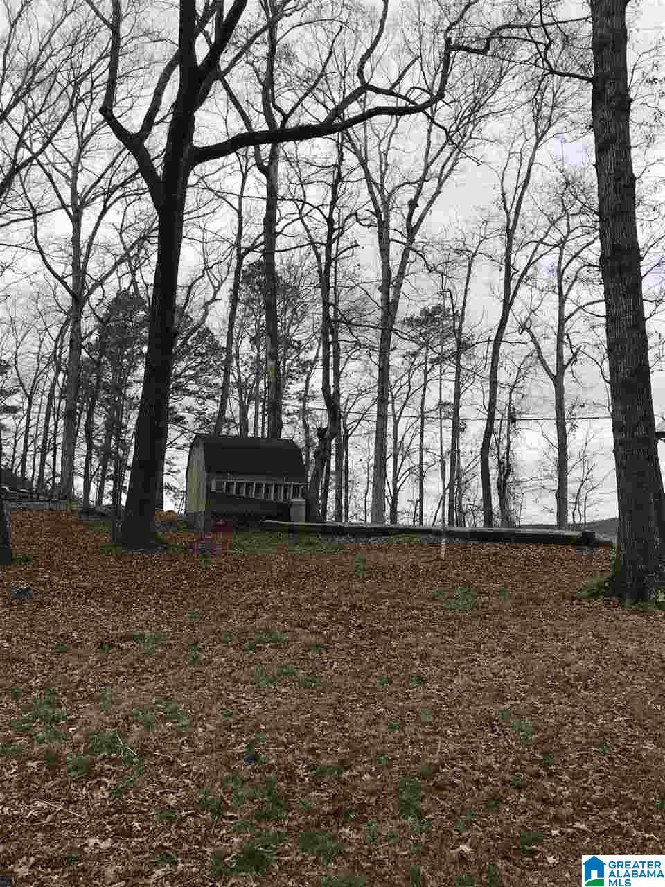 3021 Lake Road Sylacauga, AL 35151 - Photo 41 of 44