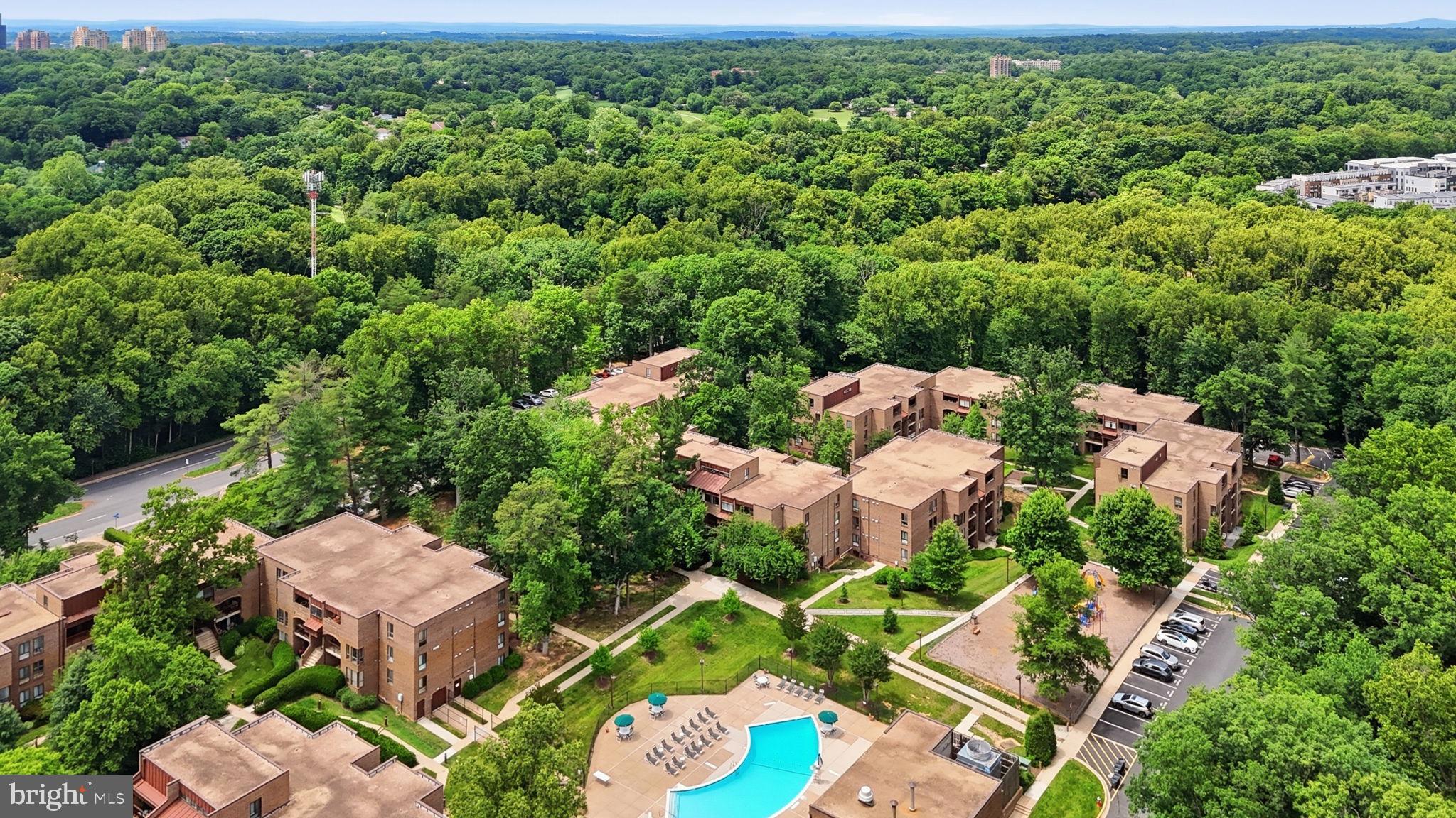 11260 Chestnut Grove Square, Unit 337 Reston, VA 20190 - Photo 69 of 82 Serene community nestled in lush greenery.
