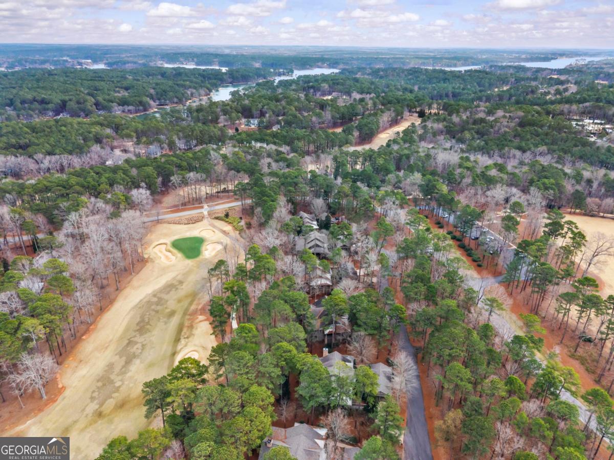 1101 Lockets Trail Greensboro, GA 30642 - Photo 73 of 74
