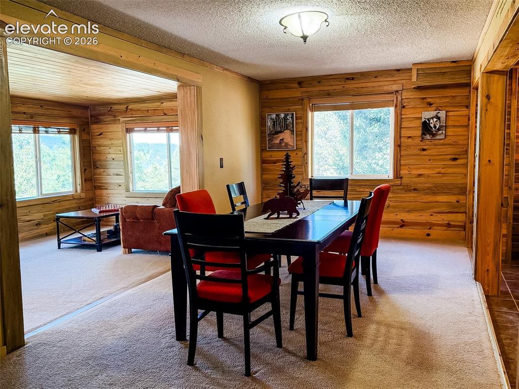 269 Southpark Road Florissant, CO 80816 - Photo 17 of 38 a dining room with furniture and window