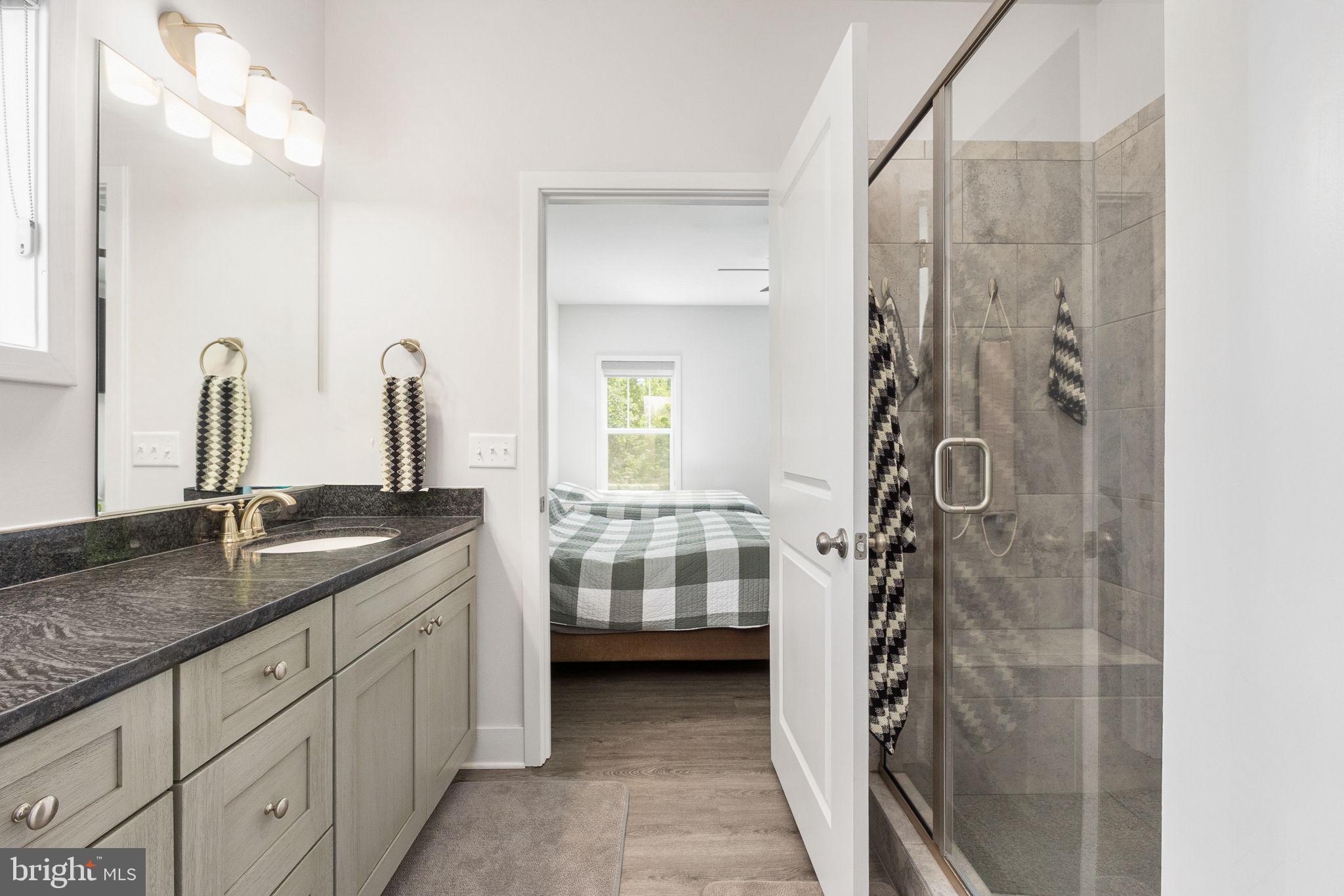3301 Flat Run Road Locust Grove, VA 22508 - Photo 19 of 53 Primary Bathroom w/Walk in Shower