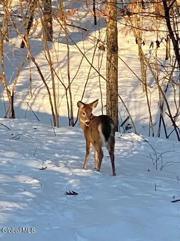 $699,900 | 2237 Highway 50, Saratoga Springs, NY 12866