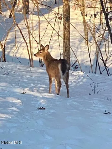 $699,900 | 2237 Highway 50, Saratoga Springs, NY 12866