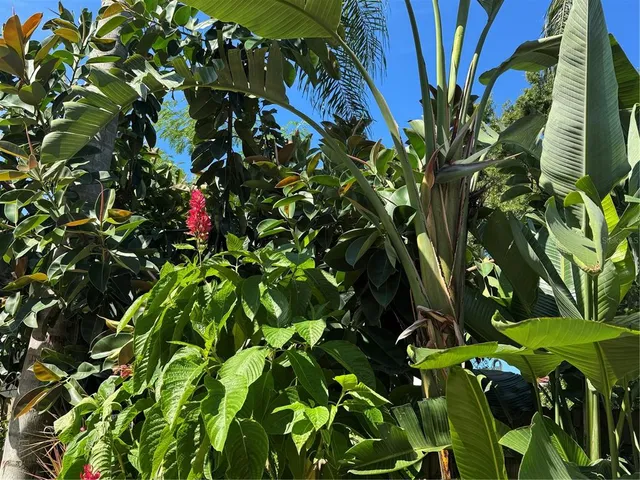 $999,000 | 6213 12th Avenue South, Gulfport, FL 33707