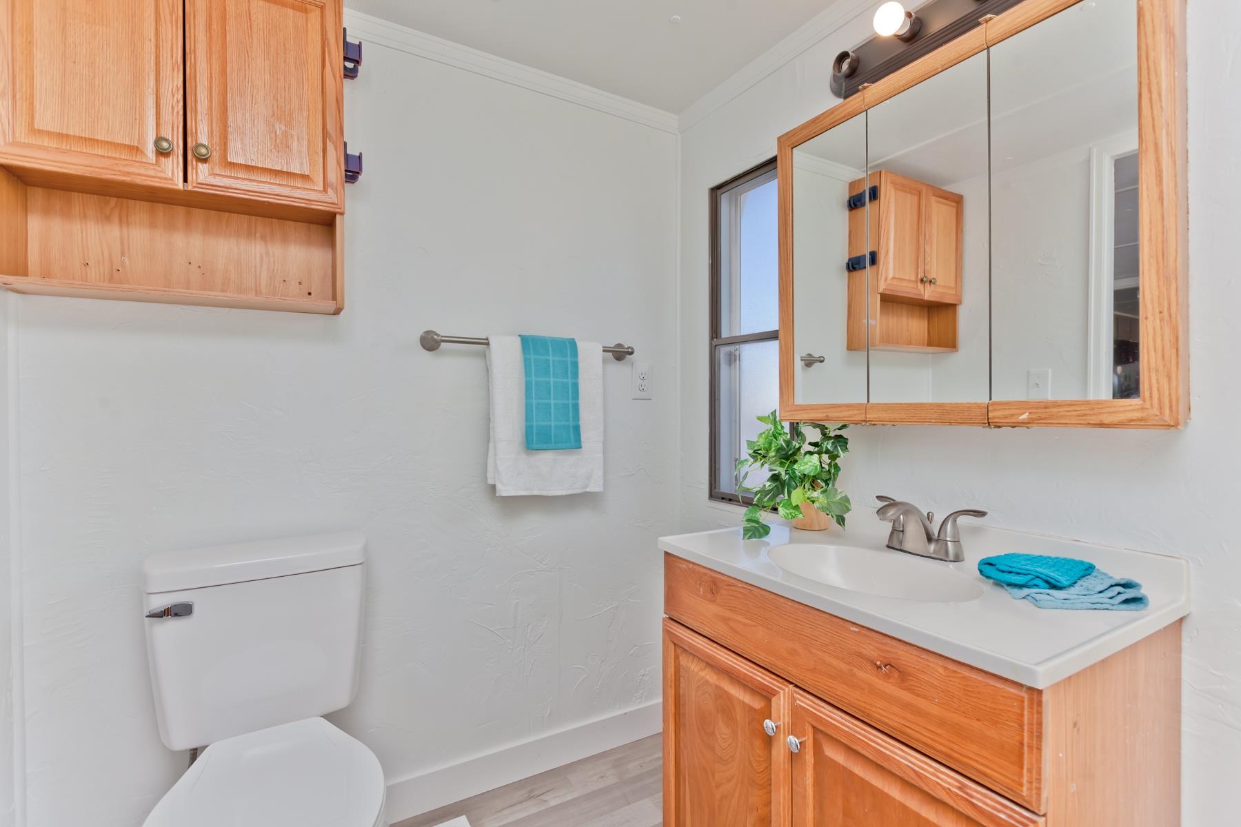 432 Pisces Circle Fruita, CO 81521 - Photo 19 of 40 a bathroom with a sink a toilet and mirror