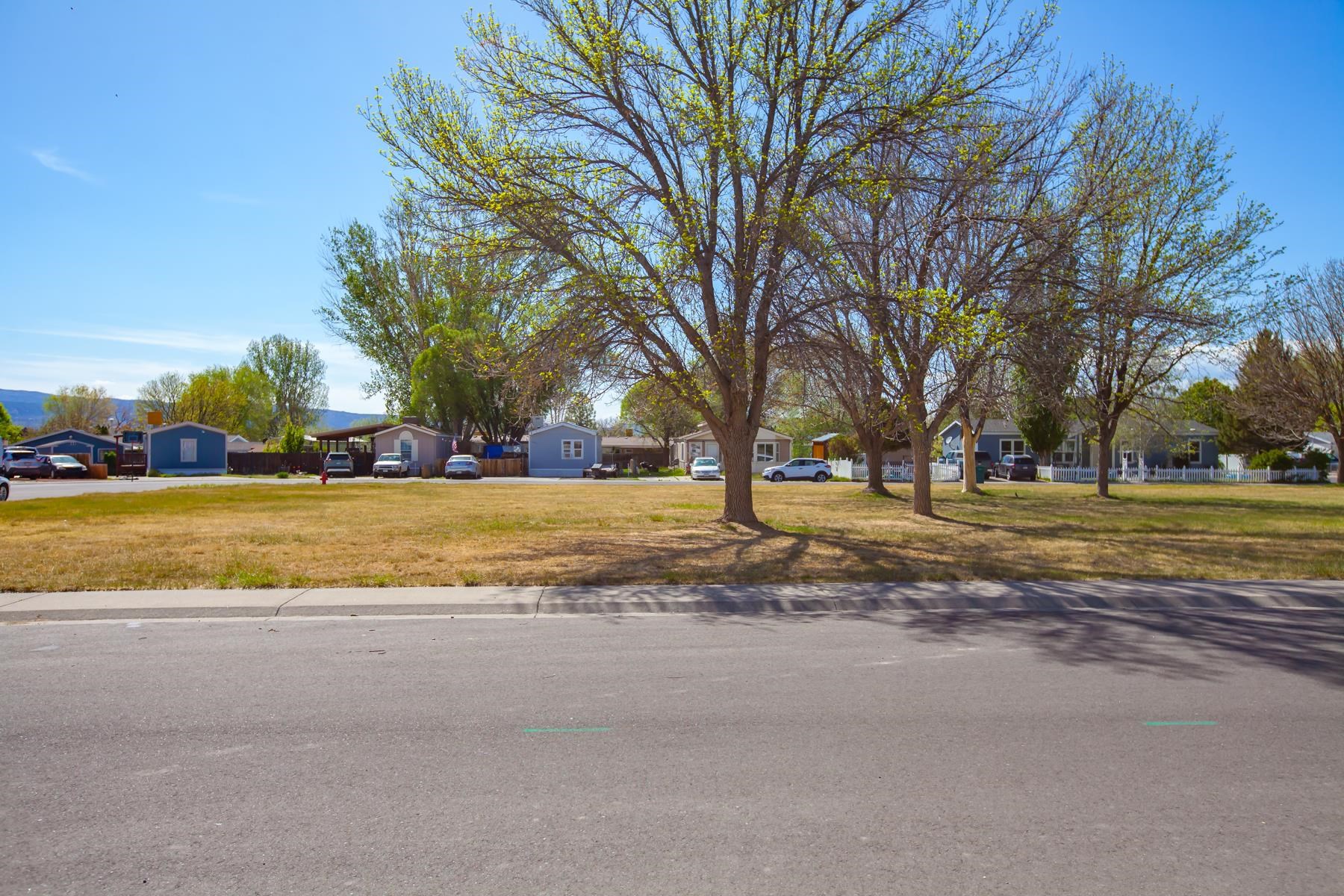 432 Pisces Circle Fruita, CO 81521 - Photo 40 of 40 a view of road with yard and trees
