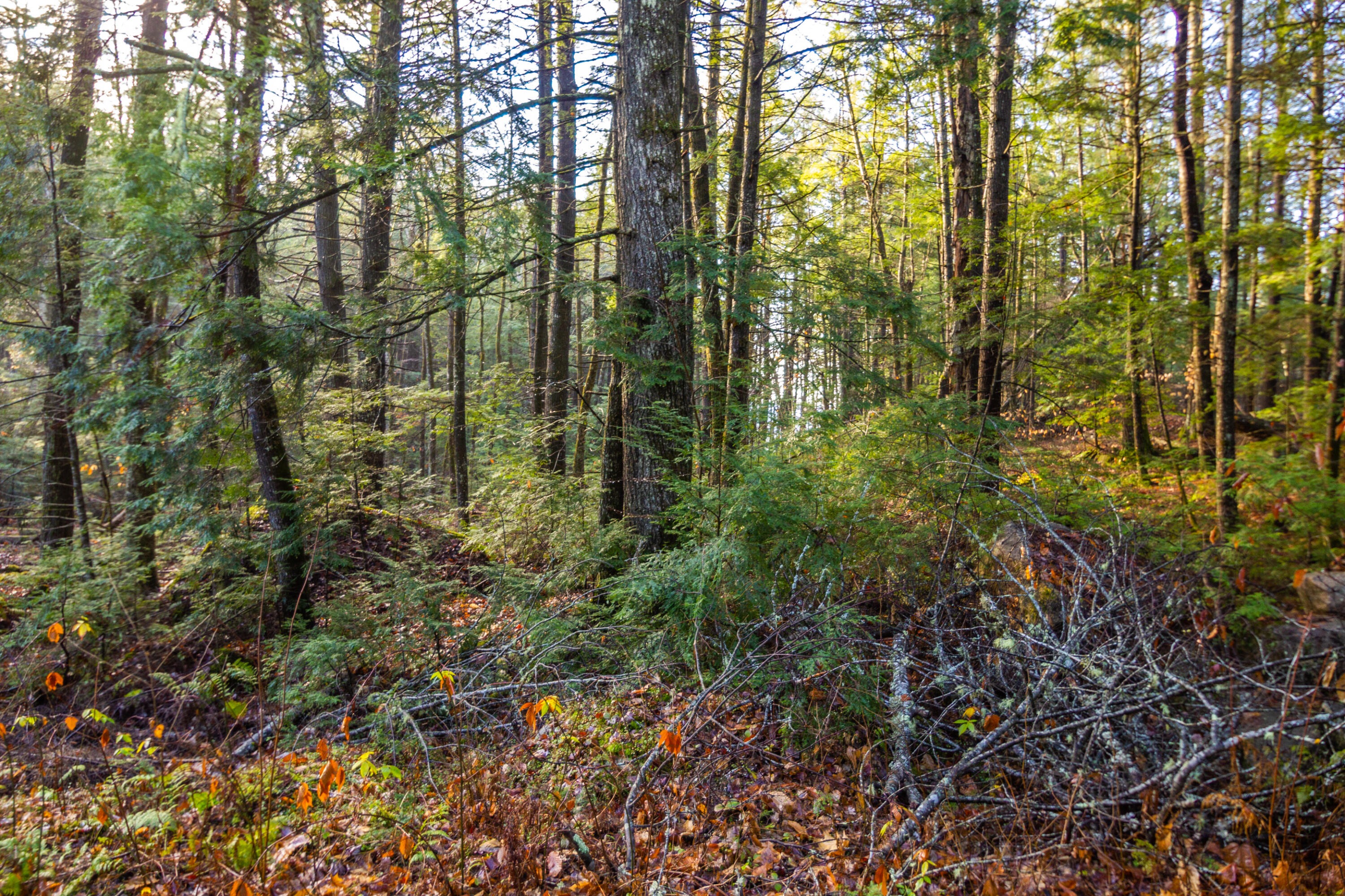 266 Timber Point Road Belgrade, ME 04917 - Photo 7 of 22 IMG_7532