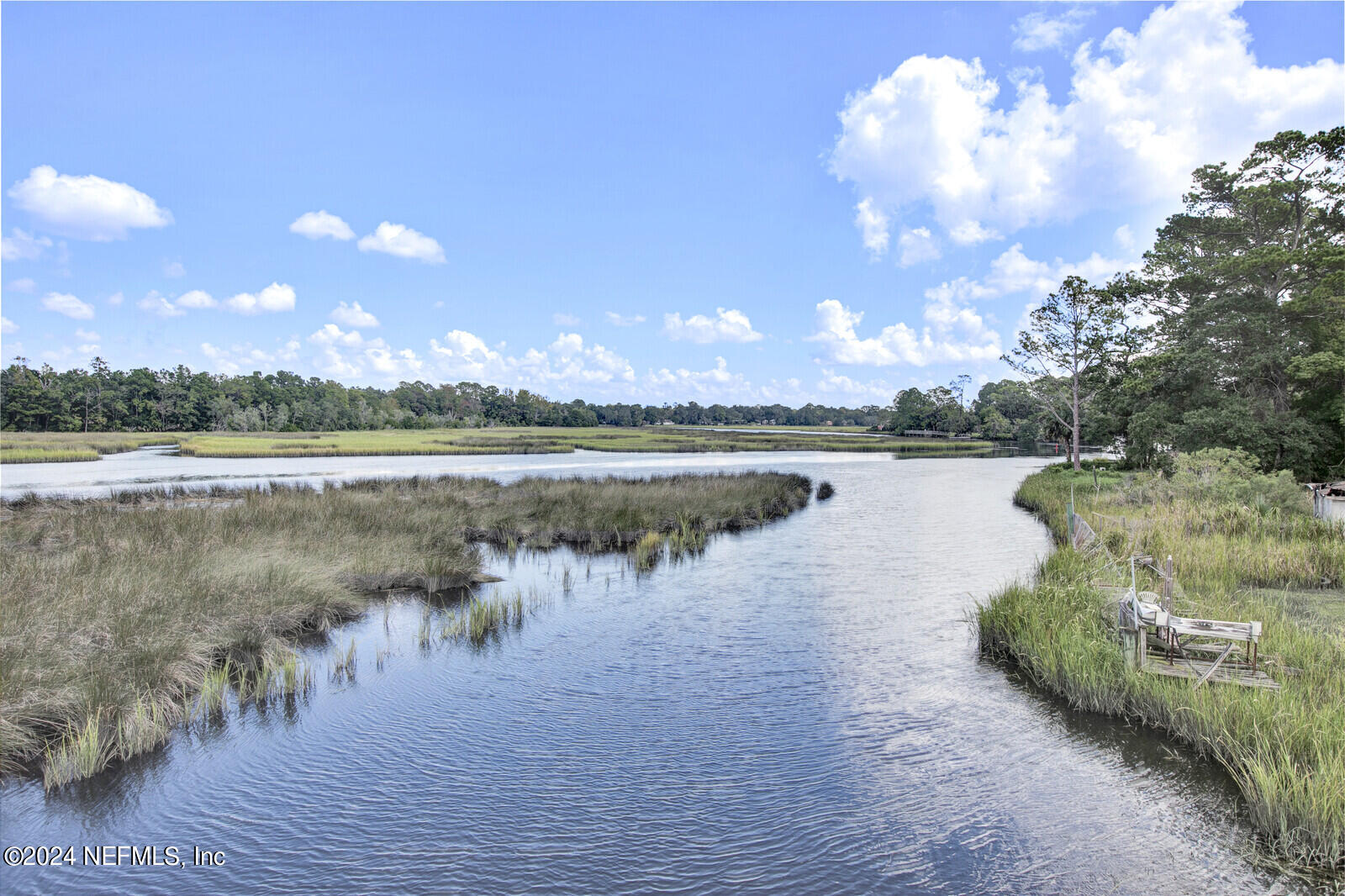 2907 Ribault Scenic Drive Jacksonville, FL 32208 - Photo 42 of 49 a view of a lake with houses in the background