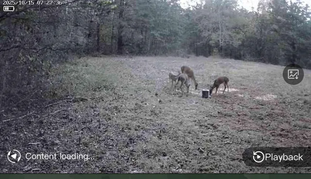 $650,000 | 6403 Highway 341, Chickamauga, GA 30707