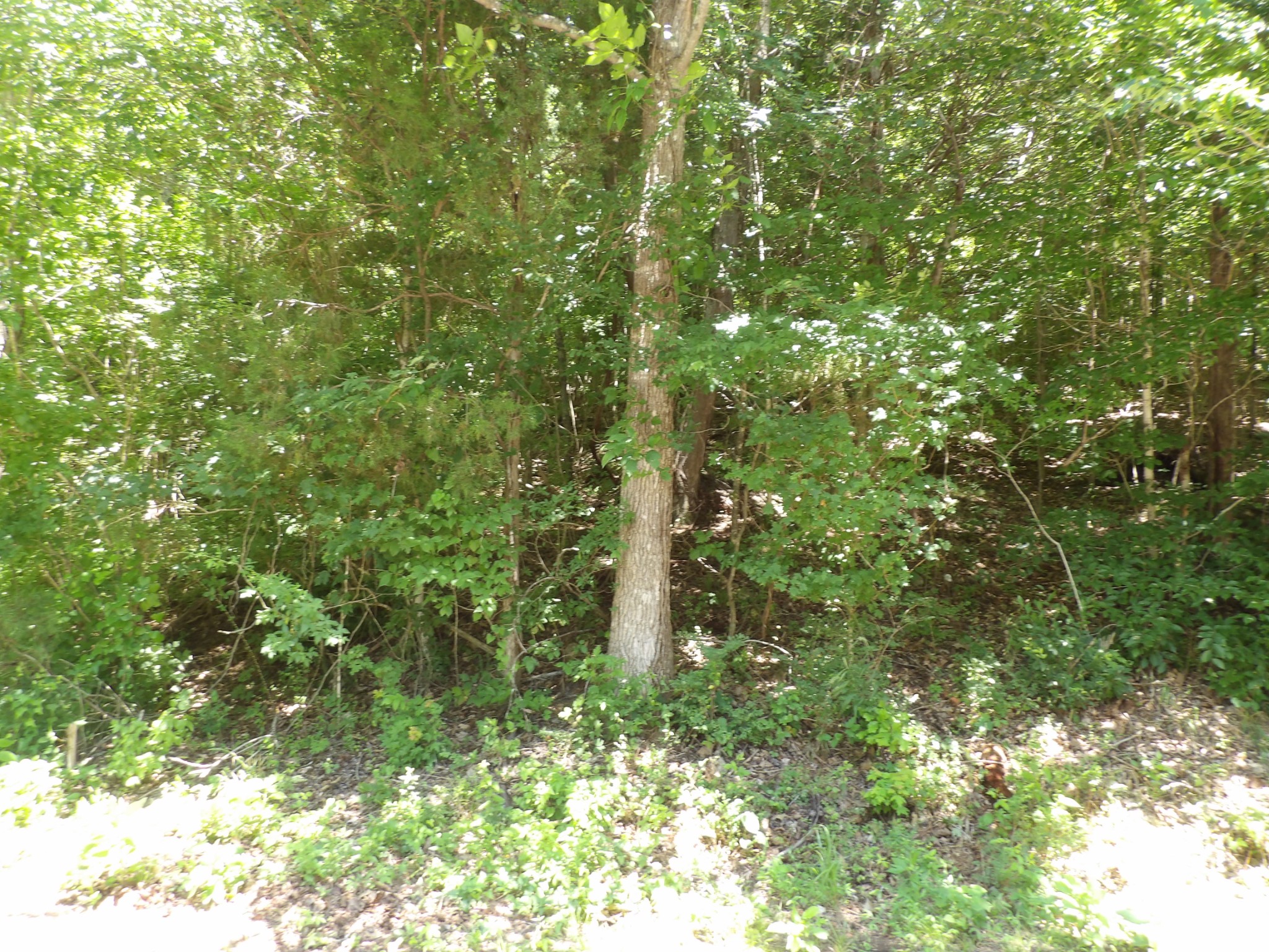 587 West Little Richland Road Waverly, TN 37185 - Photo 15 of 26
