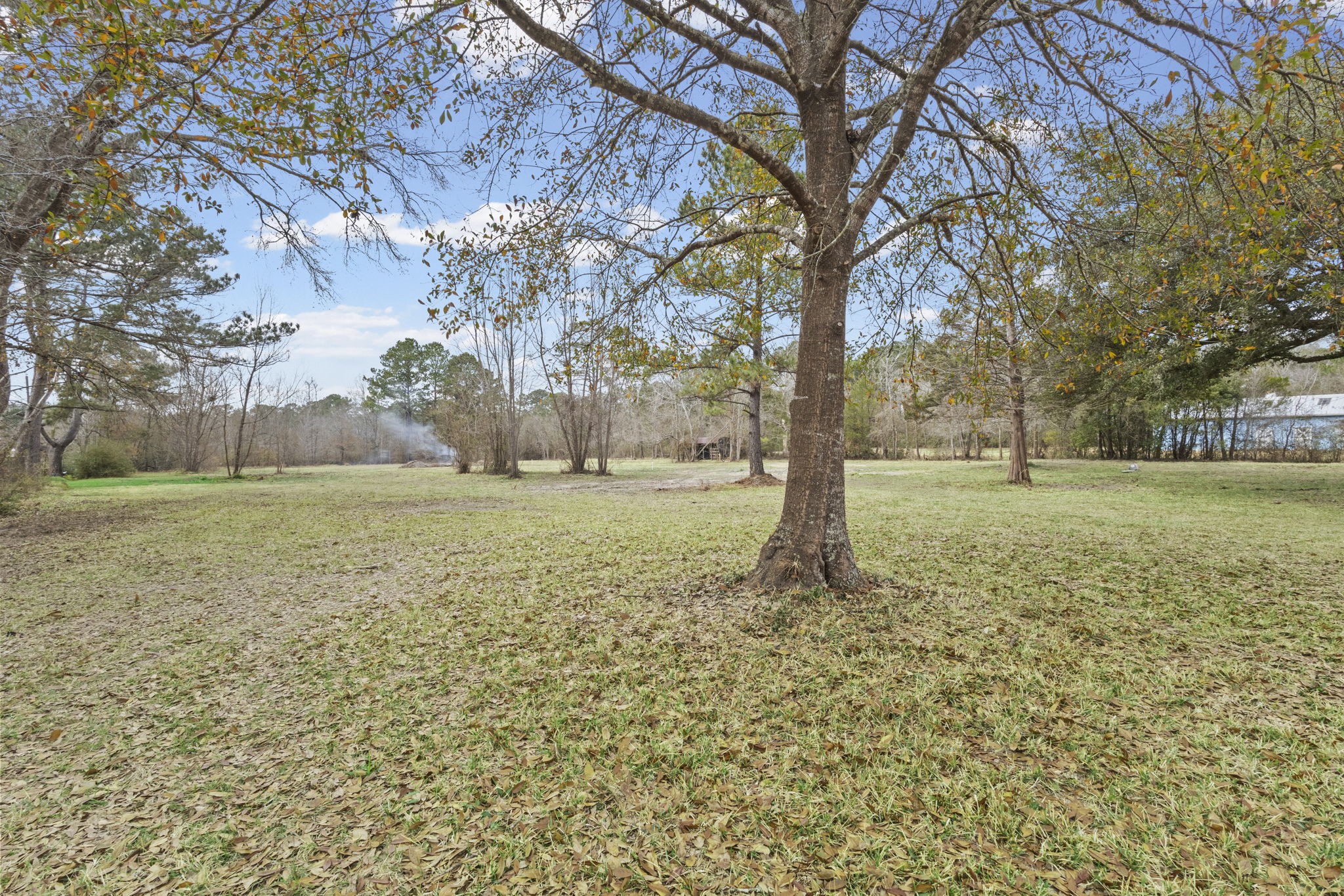 2357 Neyland Road Silsbee, TX 77656 - Photo 33 of 38 Backyard
