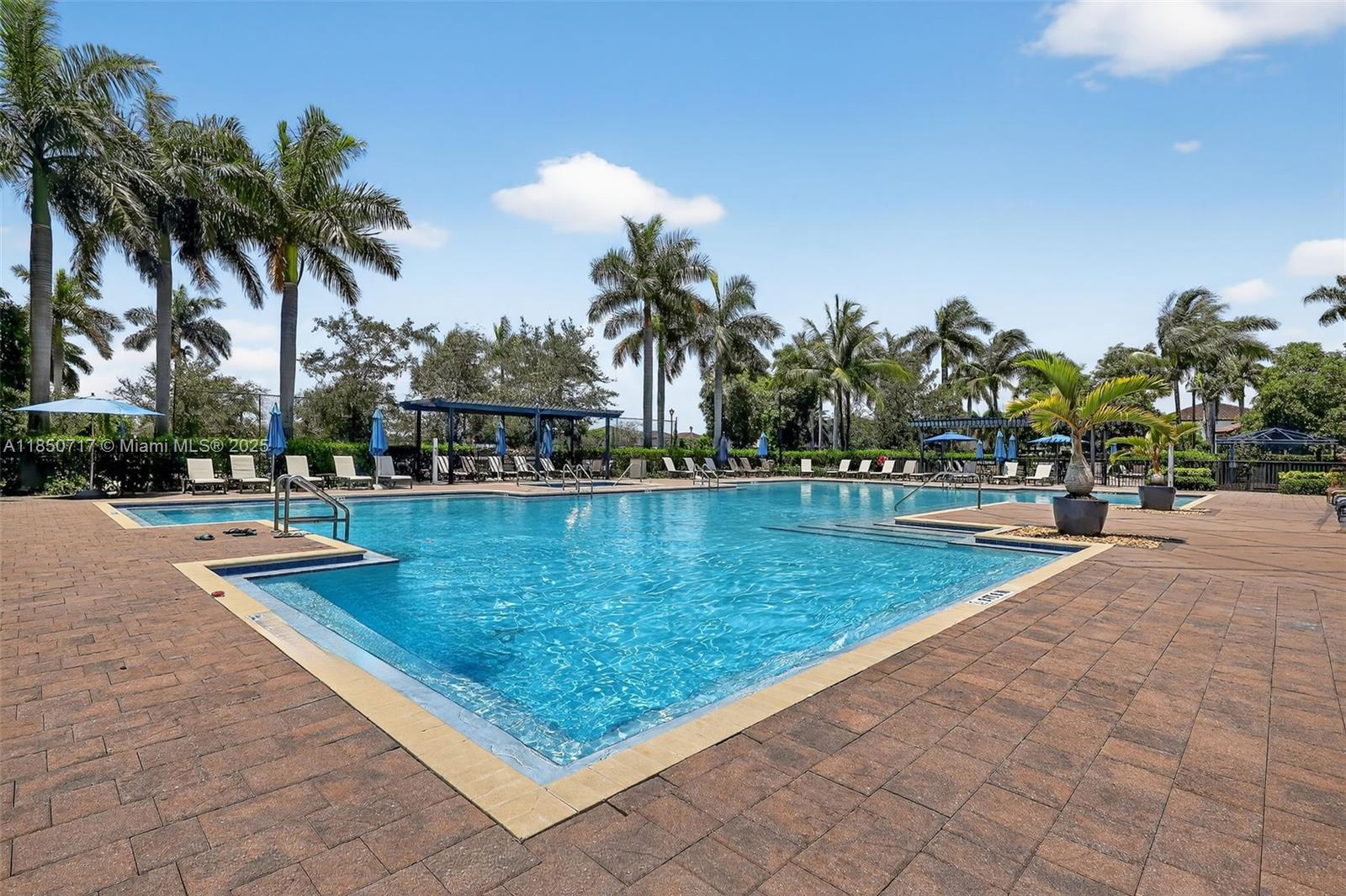 11418 Southwest 250th Street Homestead, FL 33032 - Photo 48 of 60 a view of a swimming pool with a lawn chairs and palm trees