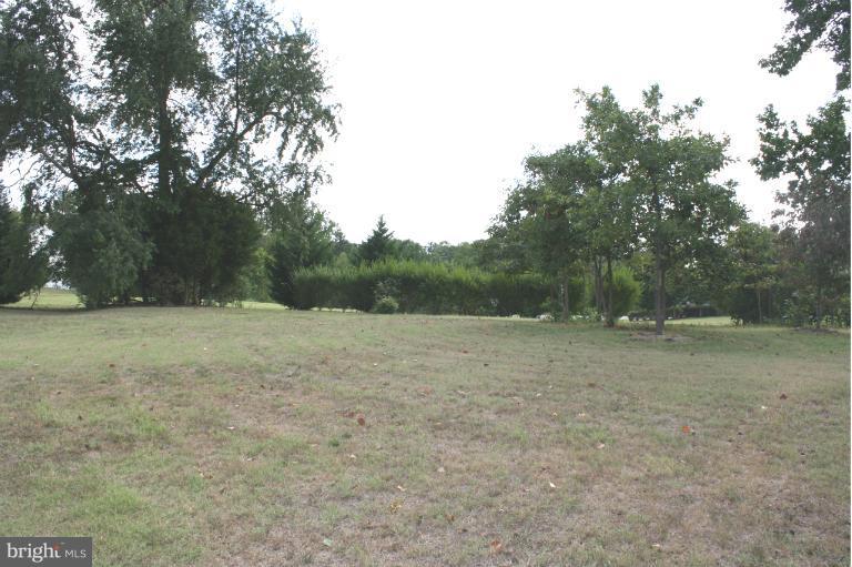 8439 Den Circle King George, VA 22485 - Photo 13 of 30 Plantings at front for privacy