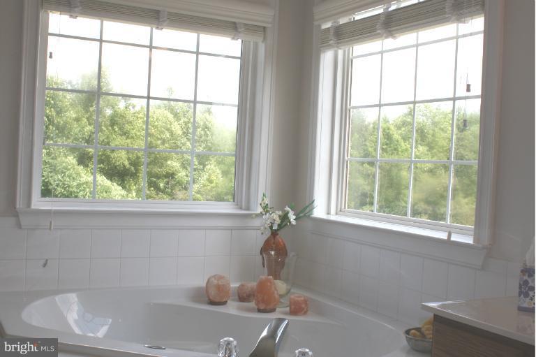8439 Den Circle King George, VA 22485 - Photo 15 of 30 Soaking Tub