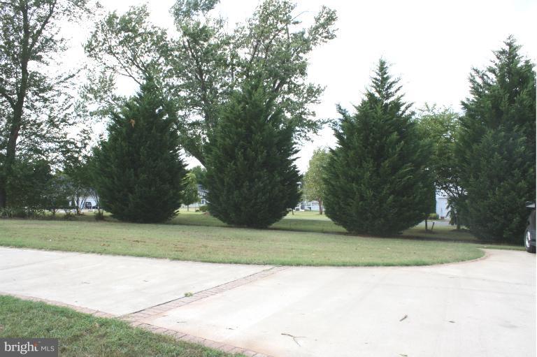 8439 Den Circle King George, VA 22485 - Photo 24 of 30 Cyprus on each side for privacy