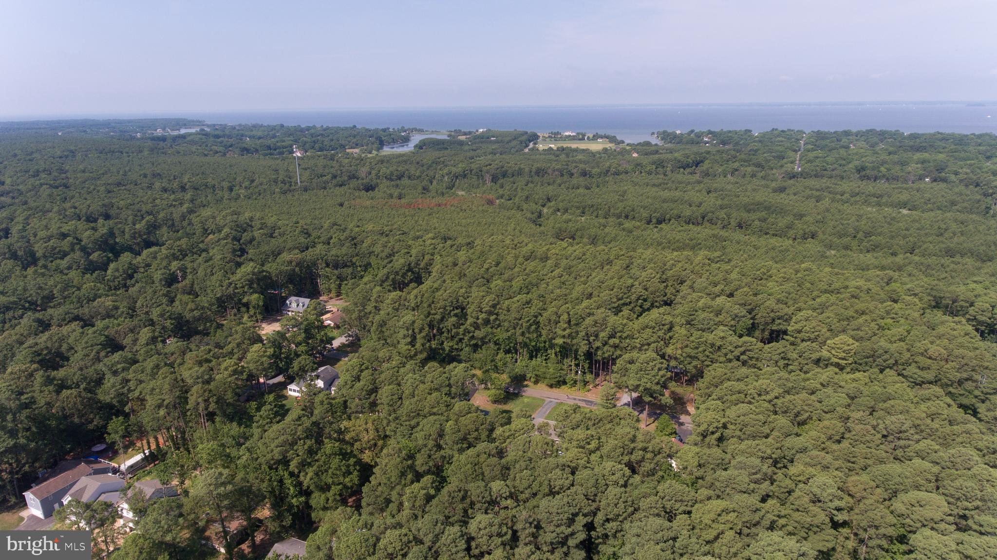 337 Wicomico Road Stevensville, MD 21666 - Photo 12 of 44 Gallery Image 12