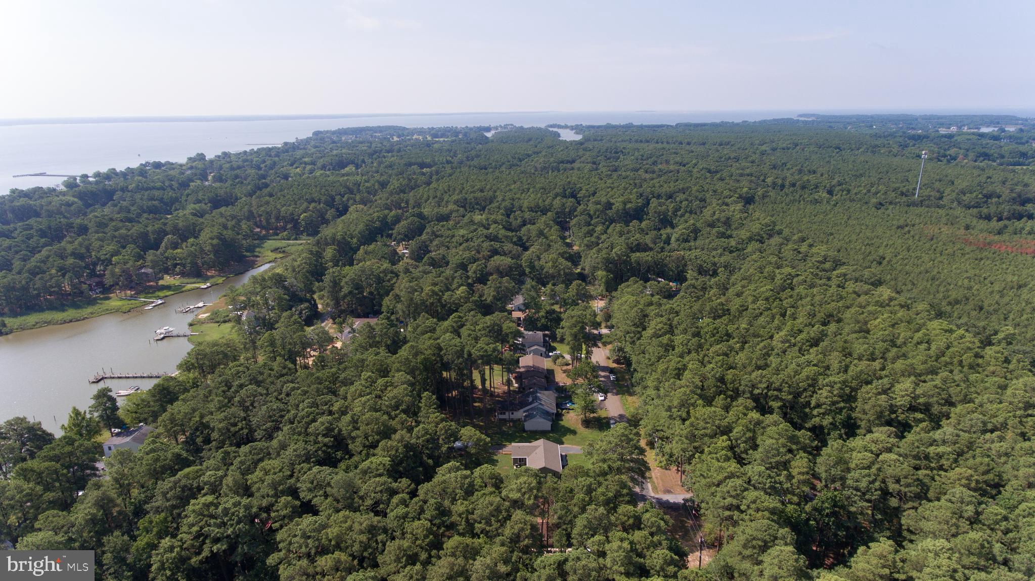 337 Wicomico Road Stevensville, MD 21666 - Photo 15 of 44 Gallery Image 15