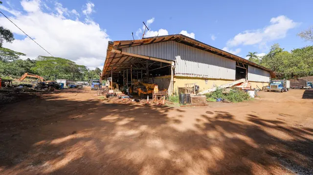 a view of a flower in a garden