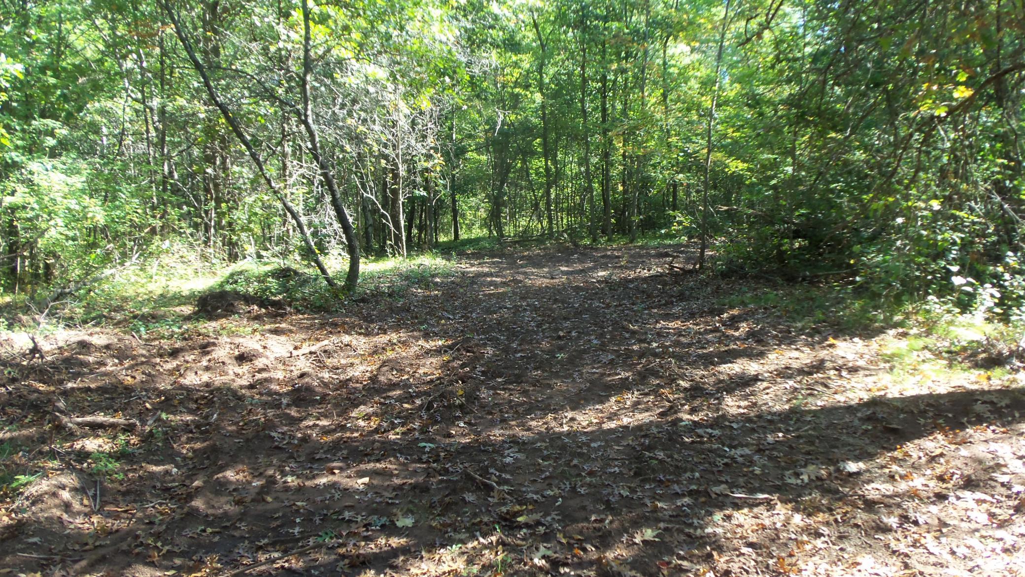 Lot 4 East River Road Grantsburg, WI 54840 - Photo 4 of 17