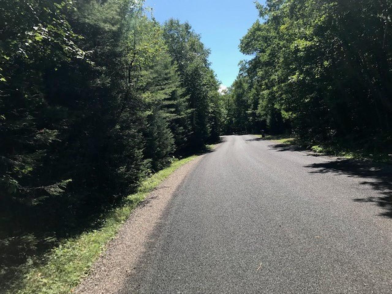 On Boygan Lake Road, Unit LOT 50 Land O'Lakes, WI 54540 - Photo 3 of 6 Gallery Image 3