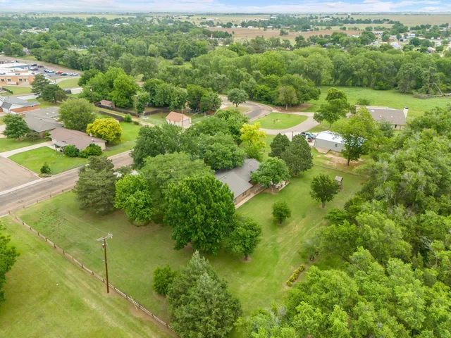 a view of a lush green forest with houses