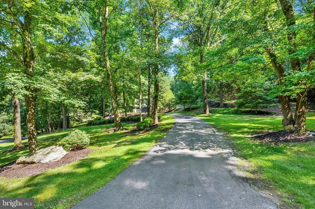 a view of a park with large trees