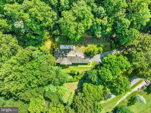 a view of a garden with a lake